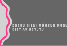 2. “Bilgi felsefesi doğru bilgi mümkün müdür?” A3 BOYUTU