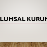 Toplumsal Kurumlar