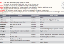 İlk Çağ Felsefesi Arkhe Anlayışları