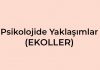 Psikolojide Yaklaşımlar (Ekoller) Konusu