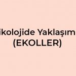 Psikolojide Yaklaşımlar (Ekoller) Konusu