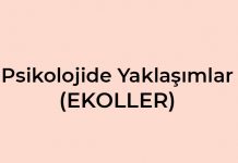 Psikolojide Yaklaşımlar (Ekoller) Konusu